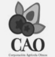 Captura de pantalla 2026-04-22 053721 (1)